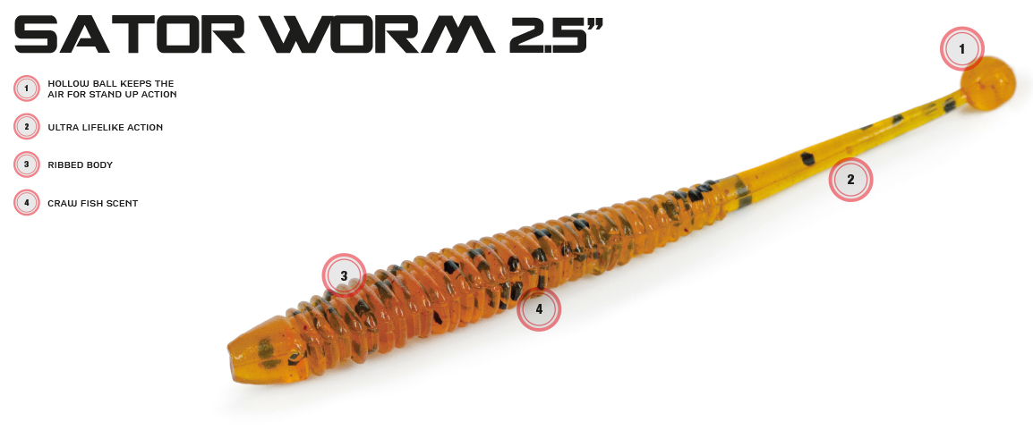 Sator Worm 2.5 - Molix