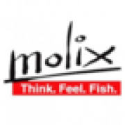 (c) Molix.com