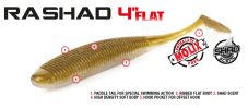 RA Shad 4 FLAT