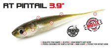 RT Pintail 39